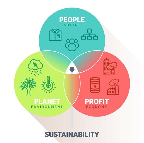 What differentiates Sustainability from Green or an Environmental Program?