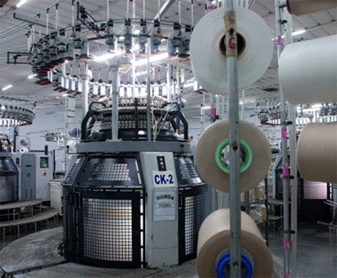 Bhilwara Technical Textiles