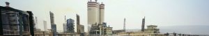 Deepak Fertilisers & Petrochemicals Q4 Profit down