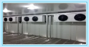 Arctic Refrigeration to focus on value added dairy segment with complete cold storage solutions