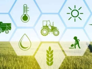 Indian Agri-tech Start-ups gets 300% funding, improves employment and farming sector