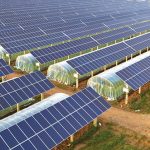 Waaree Energies Limited Secures 400 MW Solar Module Supply Contract from GIPCL