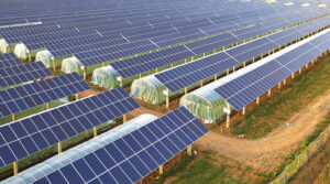 Waaree Energies