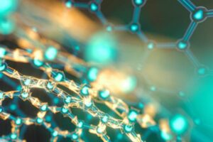 rDMT-and-rMEG-Plant