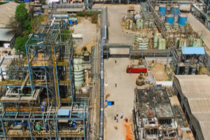 Gujarat Fluorochemicals