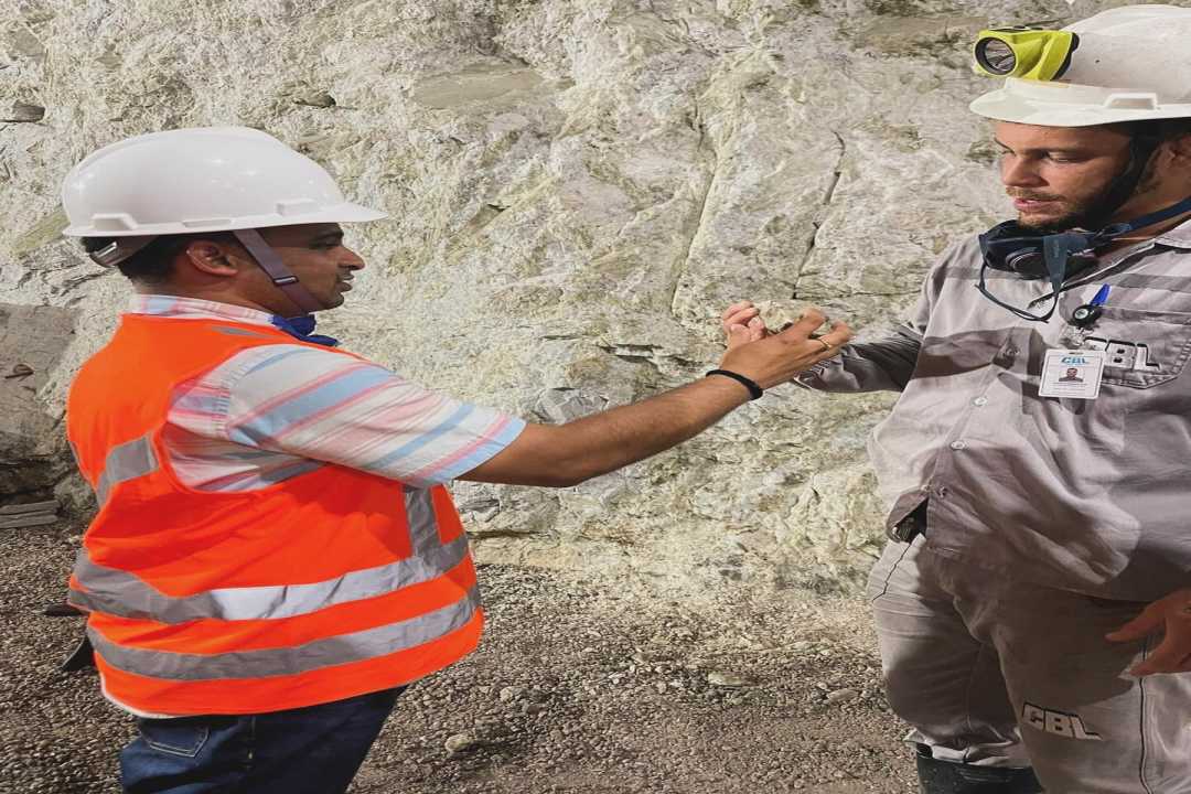 Altmin_To_Build_Gigafactory